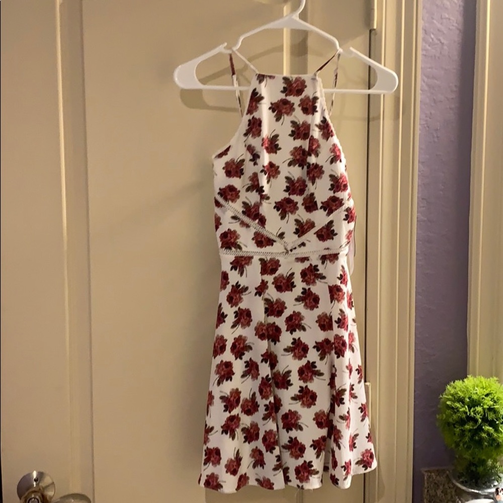 Rose dress